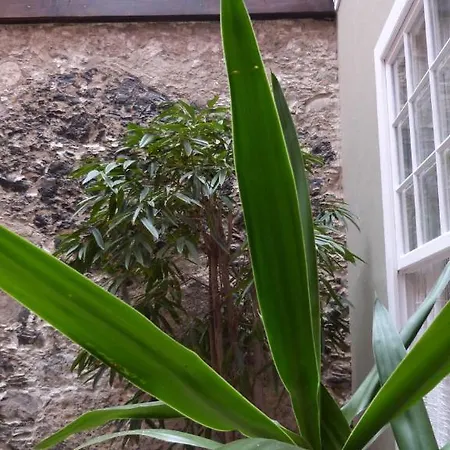 La Casa De Vegueta *