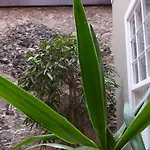 La Casa De Vegueta *
