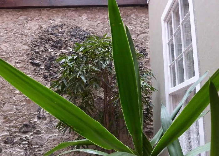 La Casa De Vegueta *