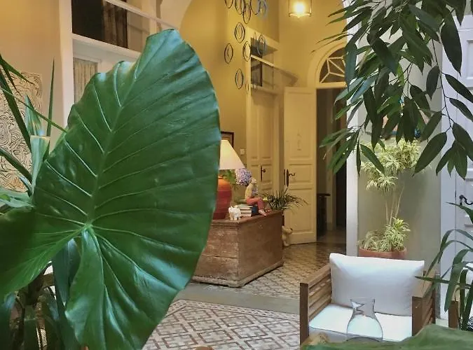 公寓 卡萨德维古埃塔酒店 大加那利岛拉斯帕尔马斯